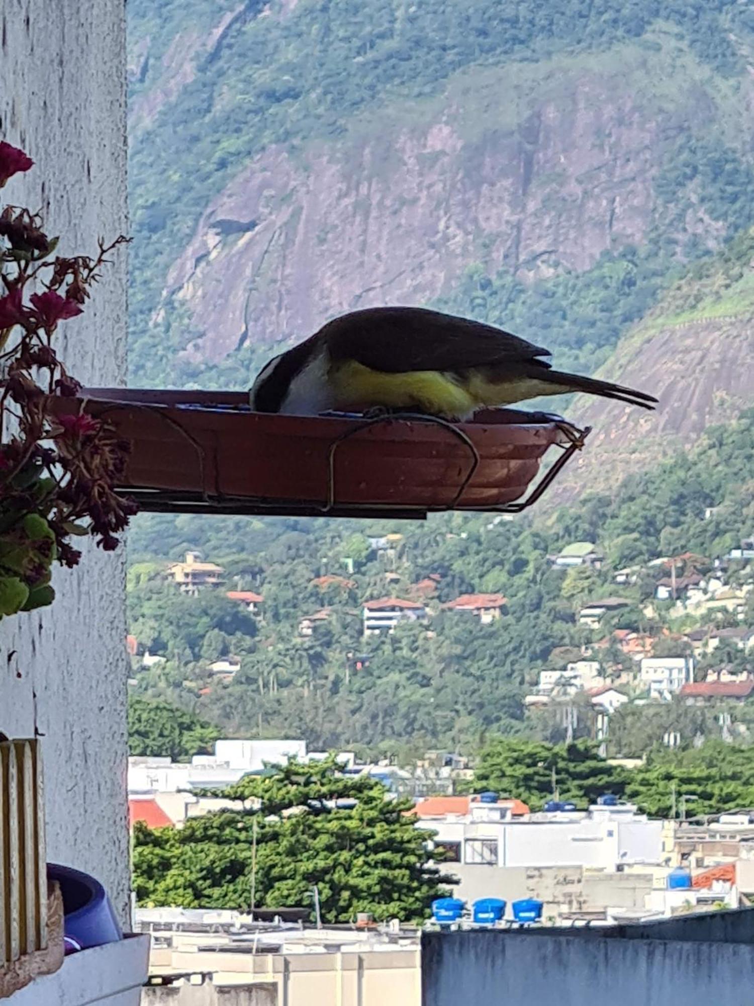 Apto Barra Da Tijuca Frente Pro Mar Rio de Janeiro Dış mekan fotoğraf